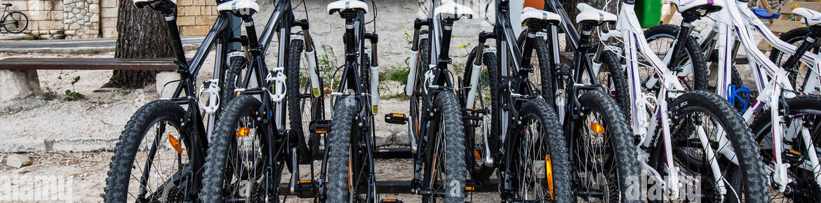 I servizi: Noleggio Bici